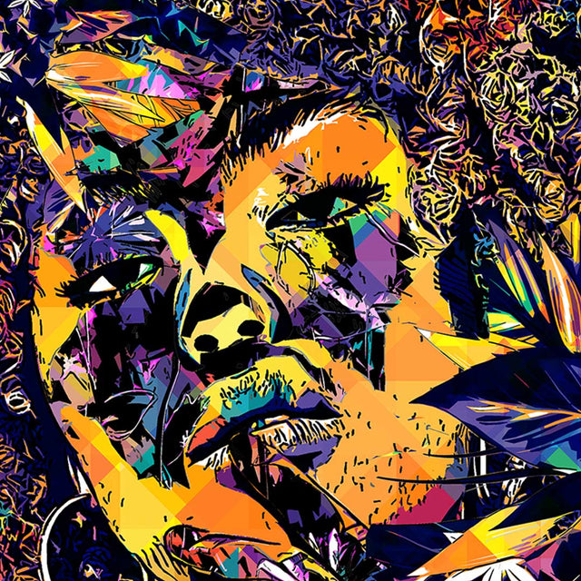 Sari Relaxed Fit Hoodie Plus Size